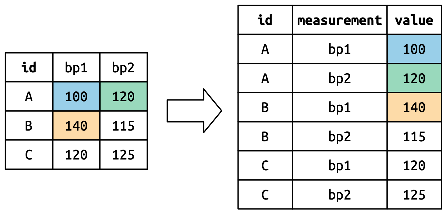 A diagram showing how `pivot_longer()` transforms data, using color to highlight how the cell values (blood pressure measurements) become the values in a new `value` column. They are unwound row-by-row, so the original rows (100,120), then (140,115), then (120,125), become a column running from 100 to 125.