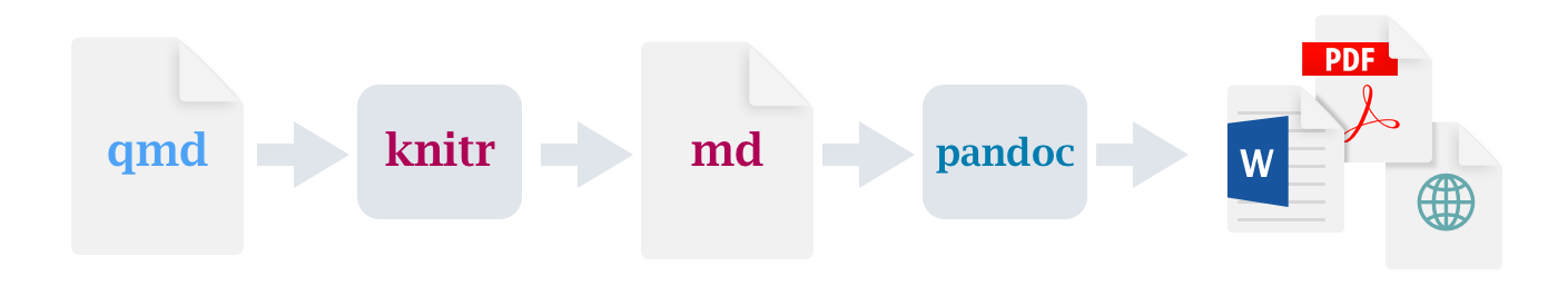 Workflow diagram starting with a qmd file, then knitr, then md, then pandoc, then PDF, MS Word, or HTML. 