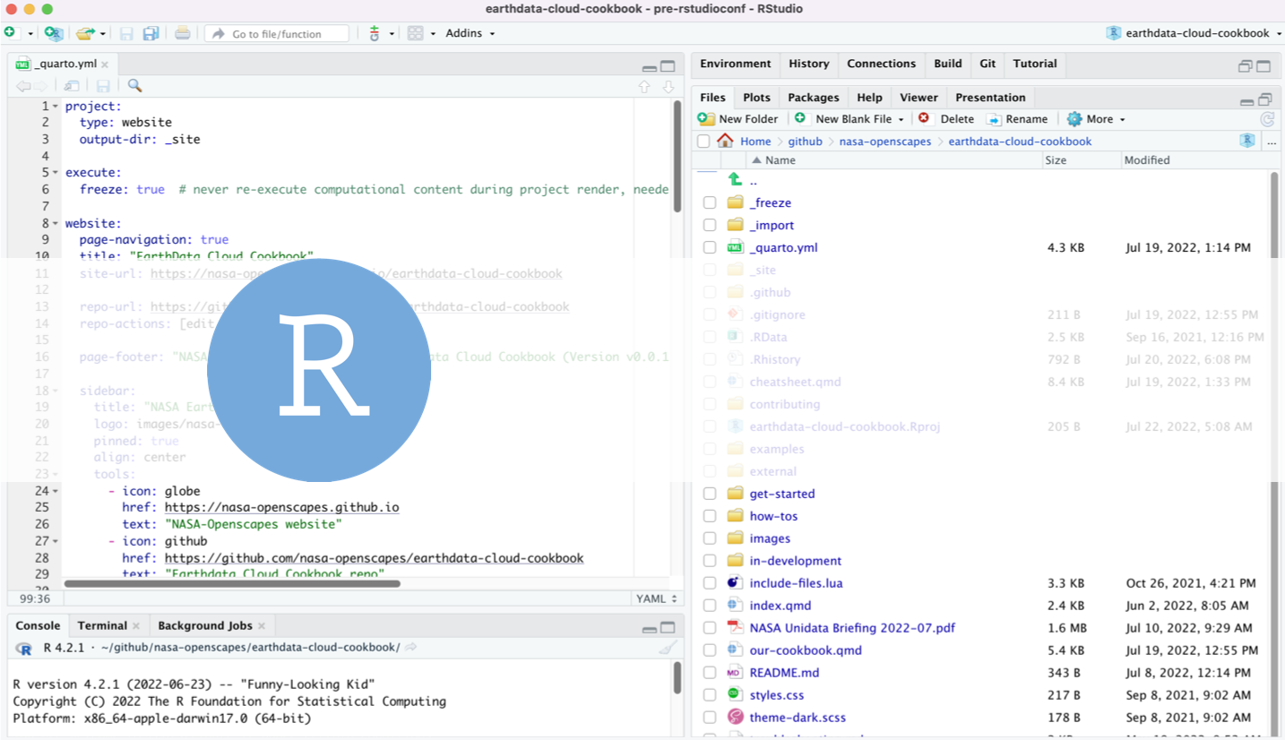 Screenshot of RStudio IDE
